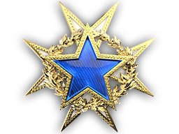 This user achieved the 2015 Service Medal 2015 Service Medal