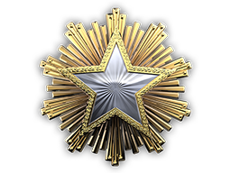 This user achieved the 2016 Service Medal 2016 Service Medal