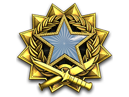 This user achieved the 2017 Service Medal 2017 Service Medal