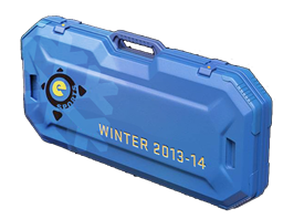 eSports 2013 Cazul de iarnă