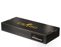 An un-opened DreamHack 2013 Souvenir Package