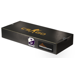 An un-opened DreamHack 2014 Cobblestone Souvenir Package