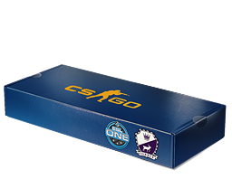 An unopened ESL One Cologne 2014 Cobblestone Souvenir Package