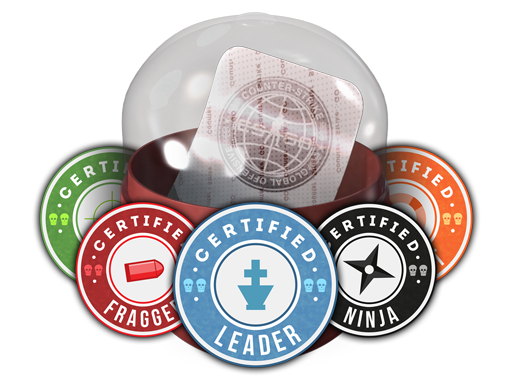 The CS2 Team Roles sticker capsule