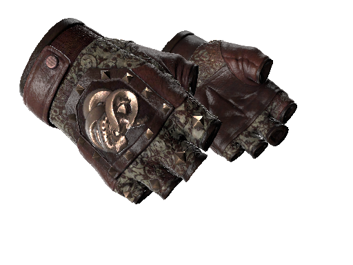 CS2 Glove Needle Point Broken Fang Gloves