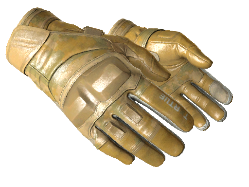 CS2 Glove Transport Moto Gloves