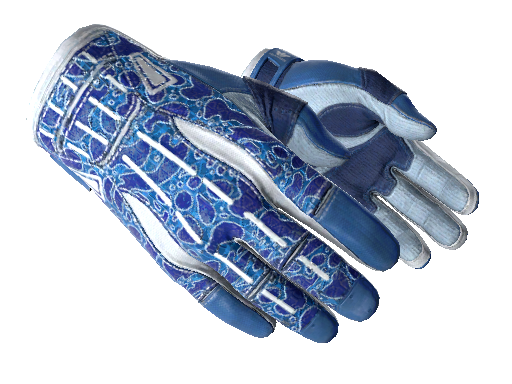 Sport Gloves Amphibious