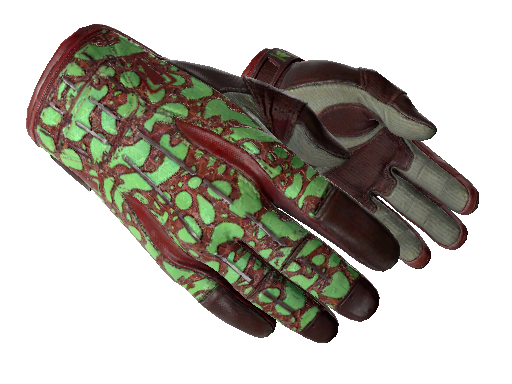 Sport Gloves | Bronze Morph