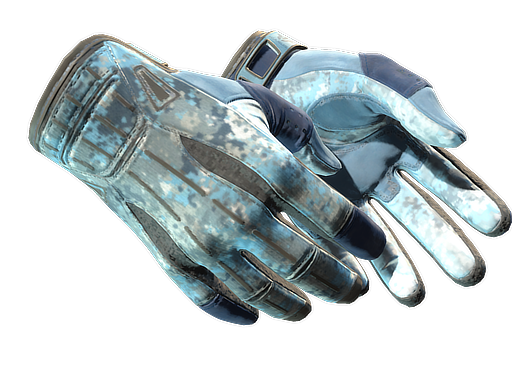 Sport Gloves Frosty