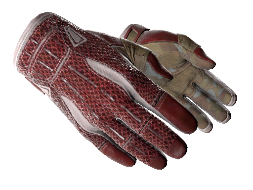 Sport sales gloves omega