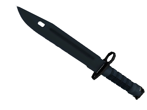 CS2 Knife Night Bayonet