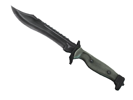 Bowie Knife