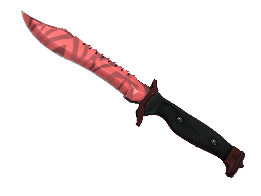 Bowie Knife | Slaughter