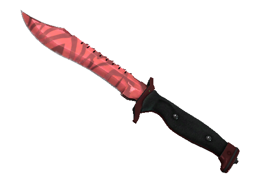 CS2 Knife Slaughter Bowie Knife