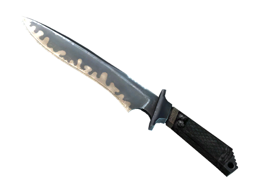 CS2 Knife  Classic Knife