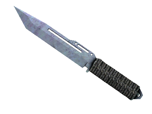 CS2 Knife Blue Steel Paracord Knife