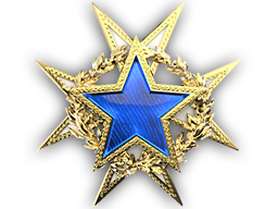 2015 Service Medal