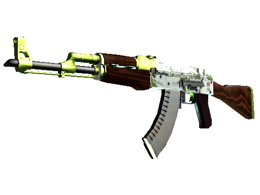 CS2 Skin AK-47 Hydroponic