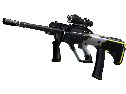 CS2 Skin AUG Torque