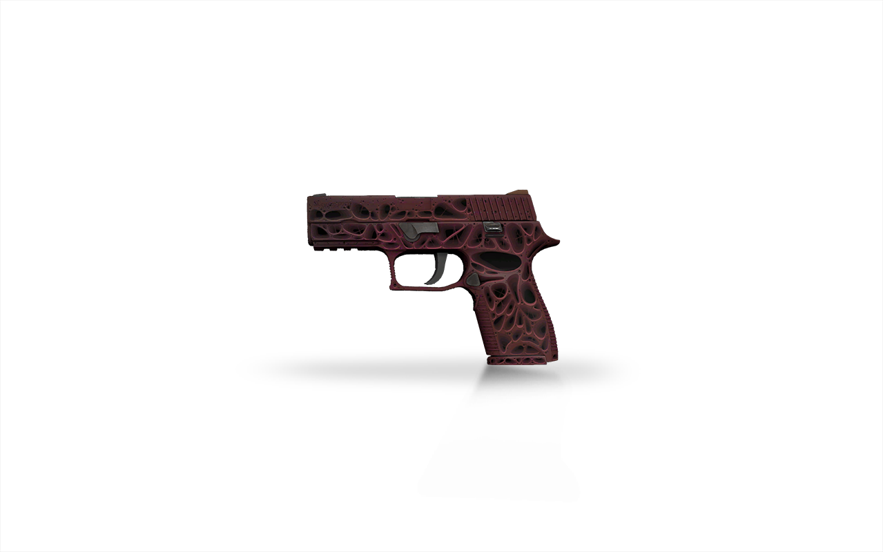 CS2 Skin P250 Contaminant