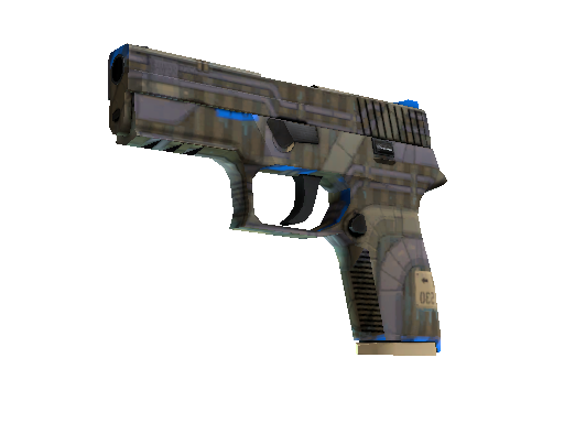 CS2 Skin P250 Exchanger