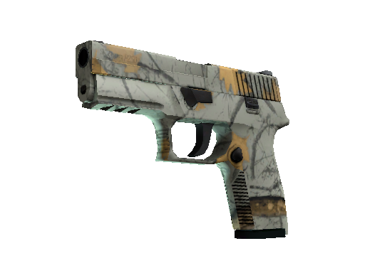 P250 Modern Hunter