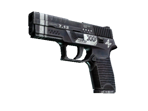 CS2 Skin P250 Re.built