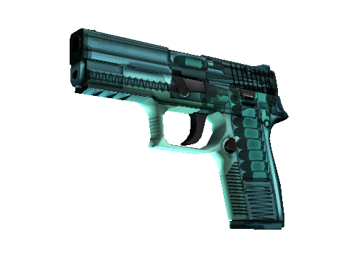 CS2 Skin P250 X-Ray