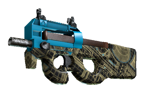 CS2 Skin P90 Facility Negative