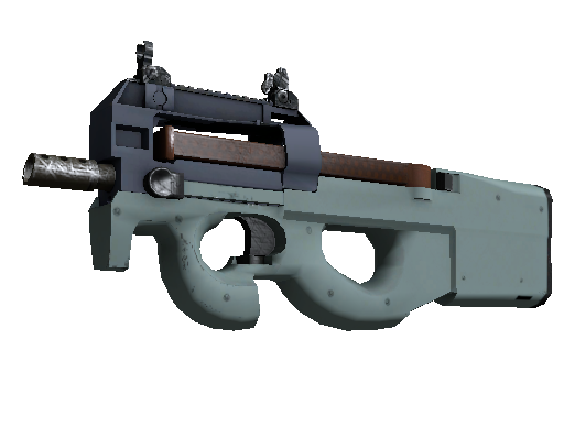 CS2 Skin P90 Storm