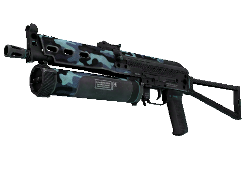 CS2 Skin PP-Bizon Night Riot