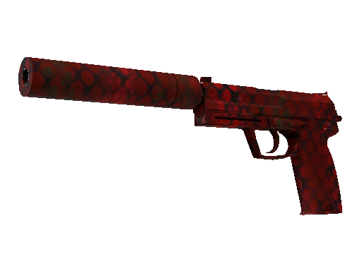 CS2 Skin USP-S Check Engine