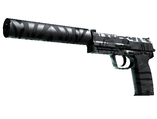 CS2 Skin USP-S Dark Water