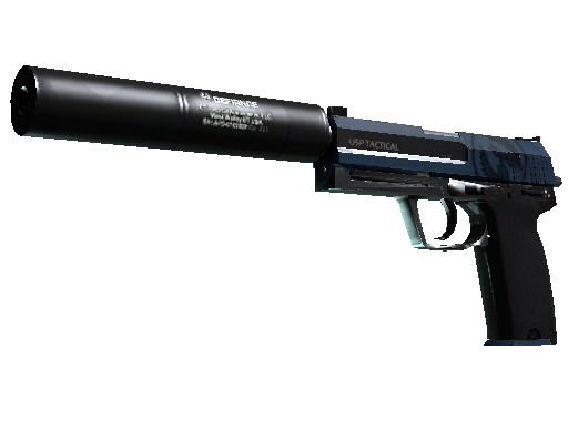 CS2 Skin USP-S Guardian