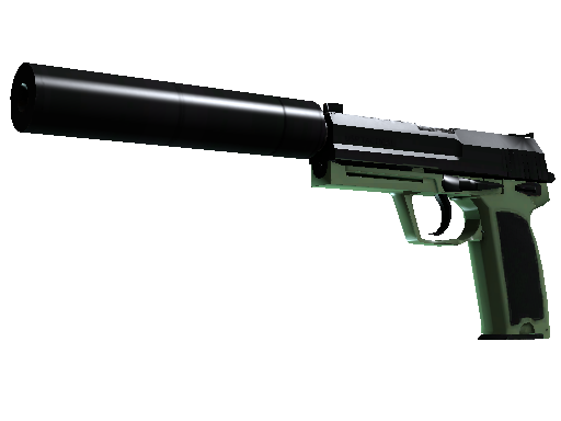 CS2 Skin USP-S Para Green