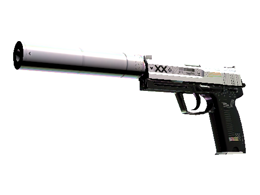 CS2 Skin USP-S Printstream