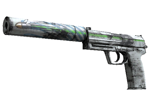 CS2 Skin USP-S Road Rash