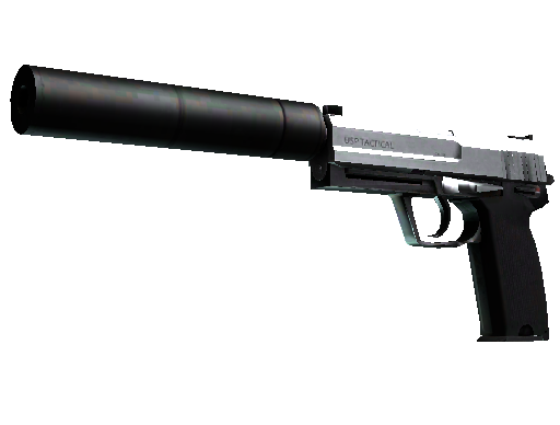 CS2 Skin USP-S Stainless