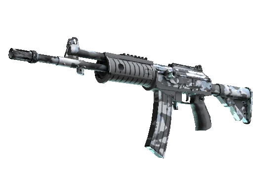 Galil AR Winter Forest