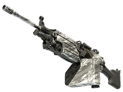 M249 Sleet