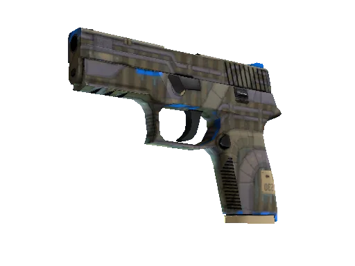 P250 Exchanger