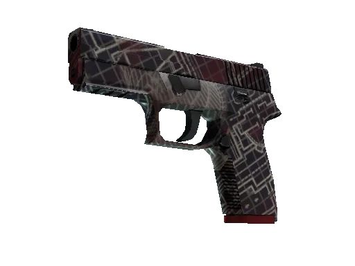 P250 Facility Draft