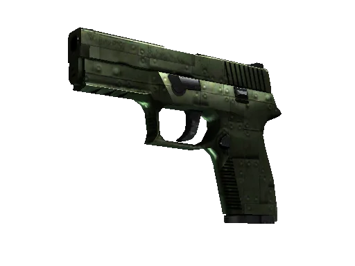 P250 Iron Clad