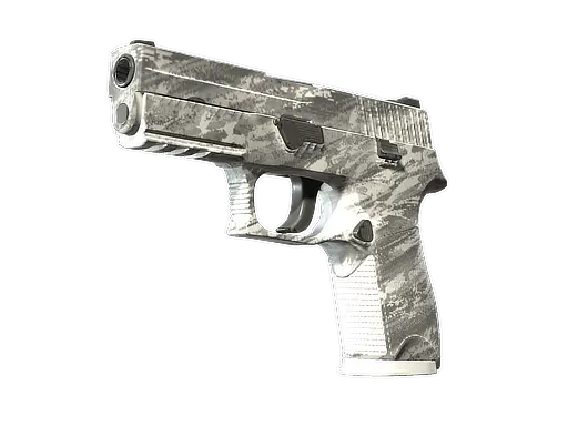 P250 Sleet