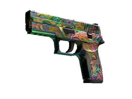 P250 Visions