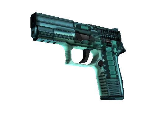 P250 X-Ray