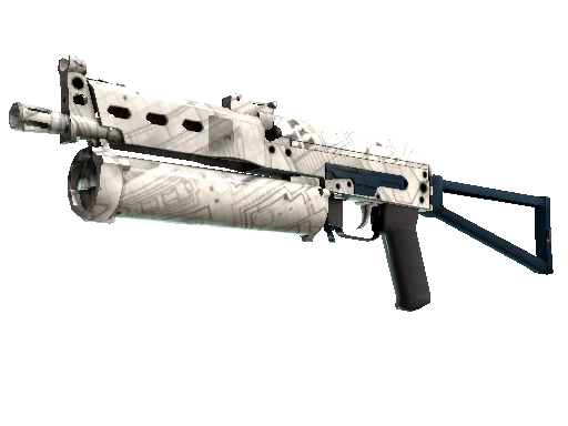 PP-Bizon Facility Sketch