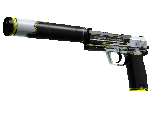 USP-S Torque