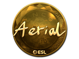 Aerial (Gold) | Katowice 2019