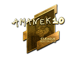 AmaNEk (Gold) | Boston 2018